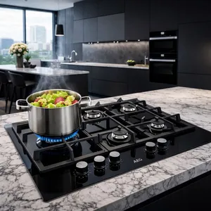 AEG Cooker repair