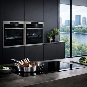 AEG Oven repair