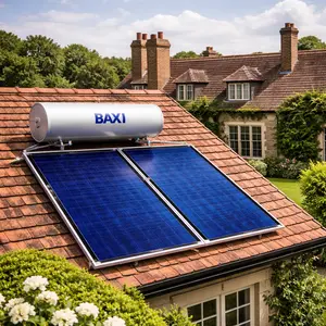 Baxi Solar Panel repair