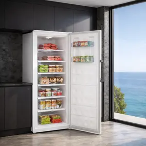 Beko Freezer repair