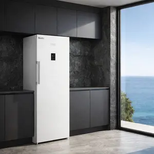 Beko Fridge repair