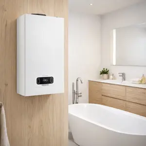 Beretta Gas Boiler repair