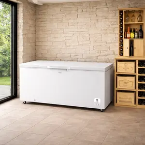 Brandt Chest Freezer repair