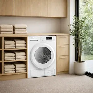 Brandt Tumble Dryer repair