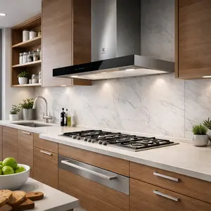 Electrolux Cooker Hood repair