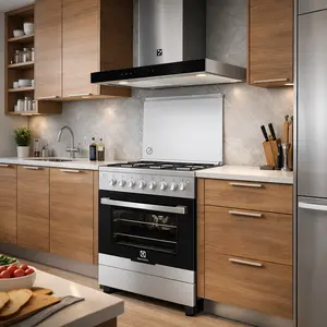 Electrolux Cooker repair