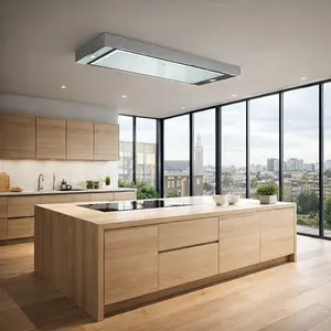 Faber Ceiling Mounted Hood repair