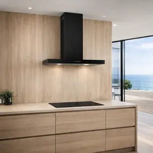 Faber Wall Hood repair