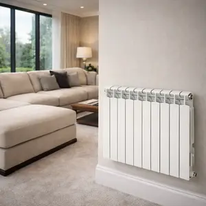 Ferroli Water Radiator repair