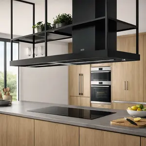 Franke Cooker Hood repair