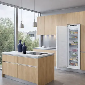 Franke Freezer repair