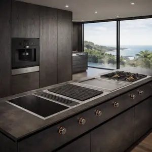 Gaggenau Cooker Hood repair