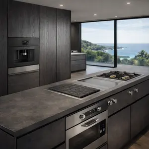 Gaggenau Cooker repair