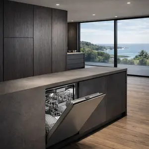 Gaggenau Dishwasher repair