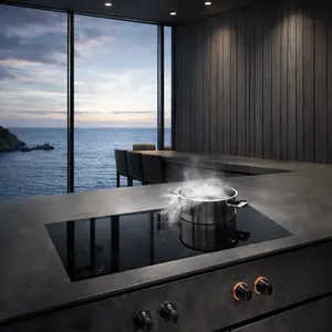 Gaggenau Hob repair