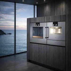 Gaggenau Oven repair