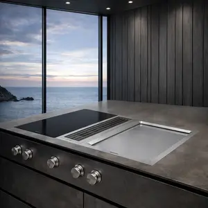 Gaggenau Teppanyaki repair