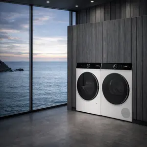 Gaggenau Washing Machine repair