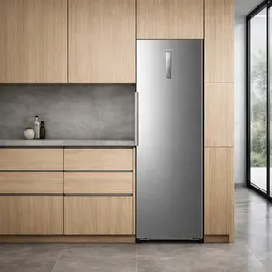 Hisense Freezer repair