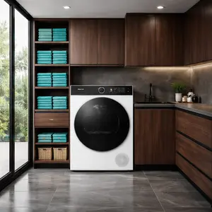 Hisense Tumble Dryer repair