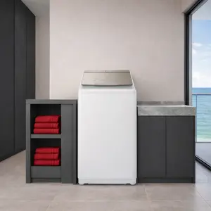 Hitachi Top Loading Washer Dryer repair