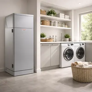 Immergas Boiler repair