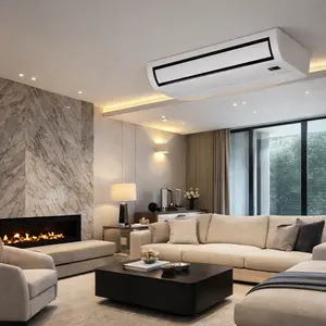 Immergas Ceiling Mounted Air Conditioner repair