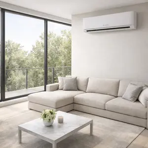 Immergas Split AC repair