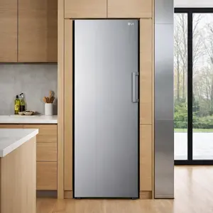 LG Freezer repair