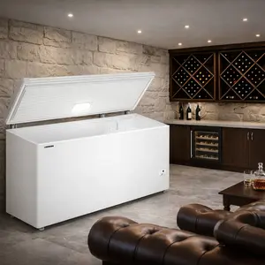Liebherr Chest Freezer repair