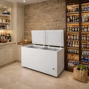 Panasonic Chest Freezer repair