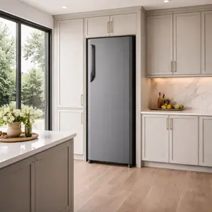 Panasonic Freezer repair