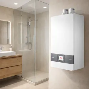 Riello Gas Boiler repair
