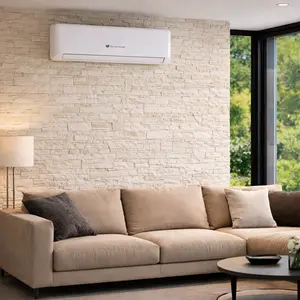Saunier Duval Air Conditioning repair
