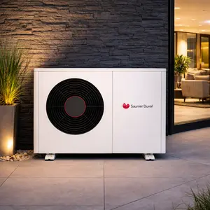 Saunier Duval Air Water Heat Pump repair