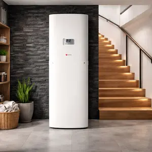 Saunier Duval Heat Pump repair