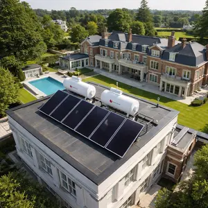 Saunier Duval Solar Panel repair