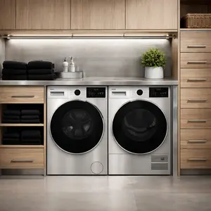 Smeg Washing Machine repair