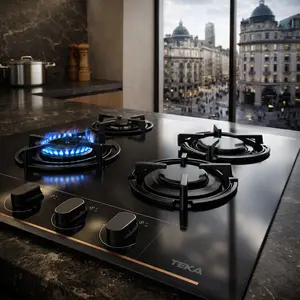 Teka Gas Hob repair