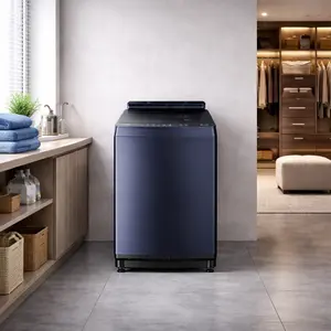 Toshiba Top Load Washing Machine repair