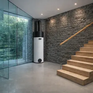 Vaillant Hot Water Heat Pump repair