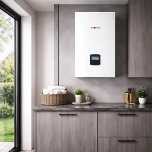 Viessmann Electric Boiler repair