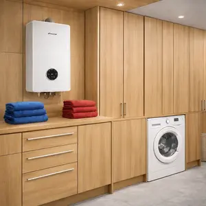 Worcester Water Heater Thermostat repair