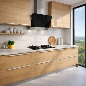 Zanussi Cooker Hood repair