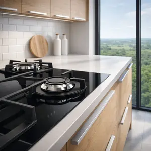 Zanussi Cooker repair
