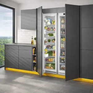 Zanussi Freezer repair