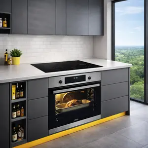Zanussi Oven repair