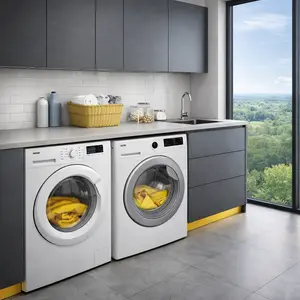 Zanussi Washing Machine repair